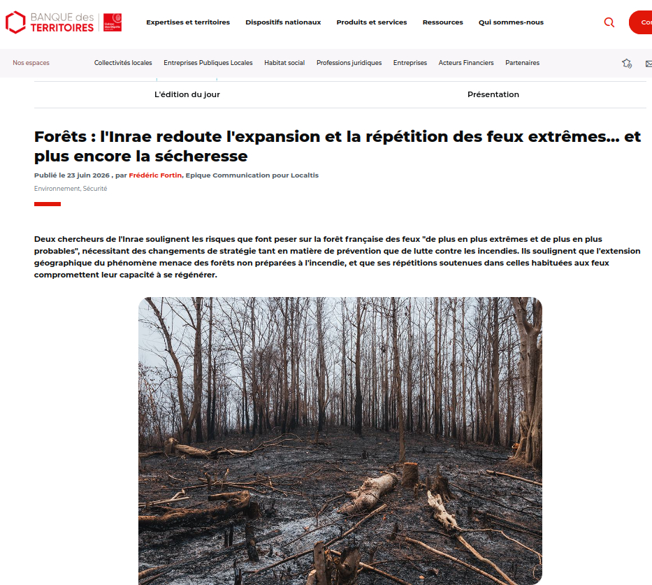 capture d'écran site Localtis de la banque des territoires