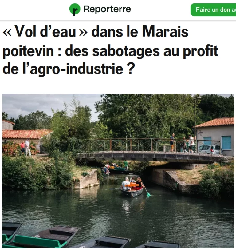 copie écran site Reporterre barques à fond plat à quai la proue dans la vase