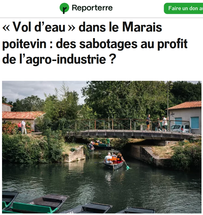 copie écran site Reporterre barques à fond plat à quai la proue dans la vase