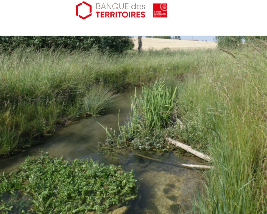 photo banque des territoires d'un ruisseau serpentant dans une prairie humide