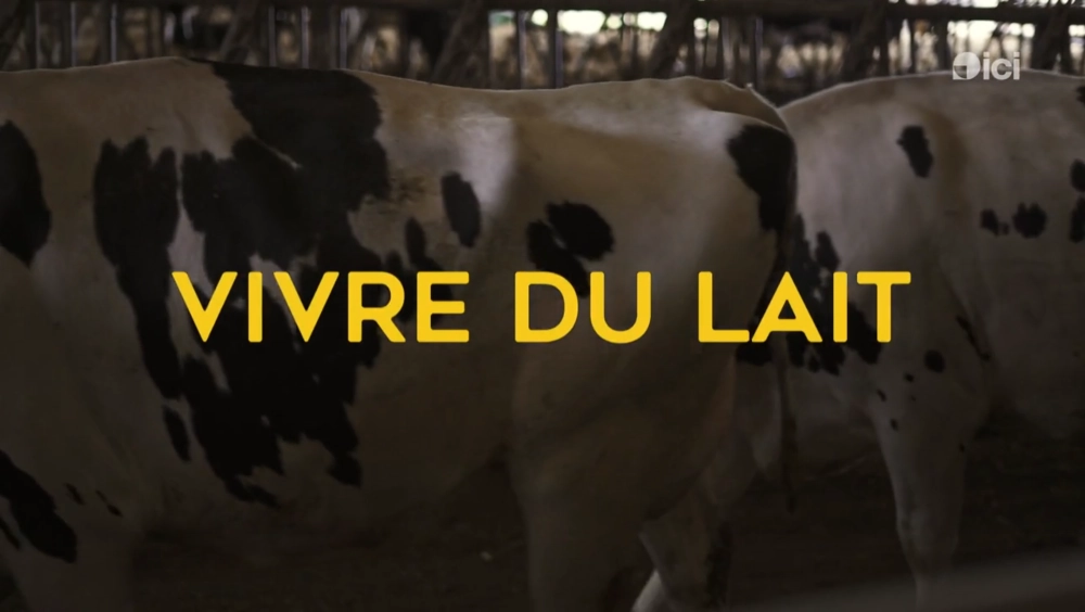photo de vaches entrant à l'écurie et titre du film vivre du lait