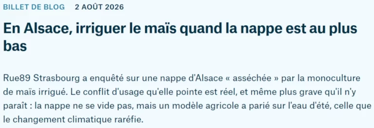 copie écran blog Mediapart "irriguer le maïs quand la nappe est au plus bas"